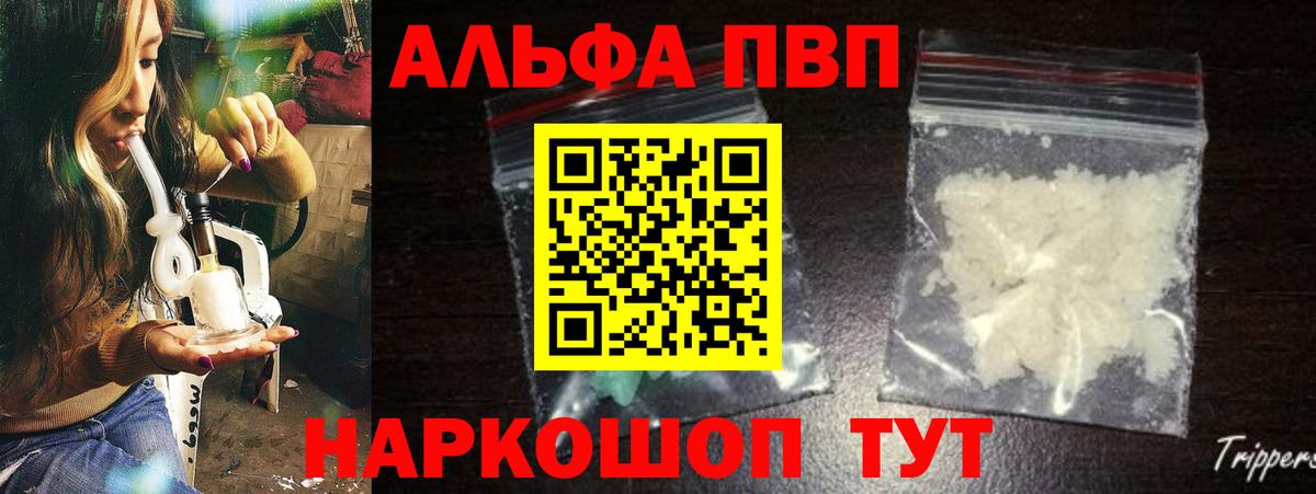Альфа ПВП СК КРИС Гатчина