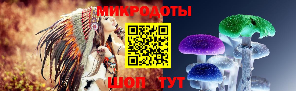 Псилоцибиновые грибы прущие грибы  Вход с VPN  где можно купить   Гатчина 